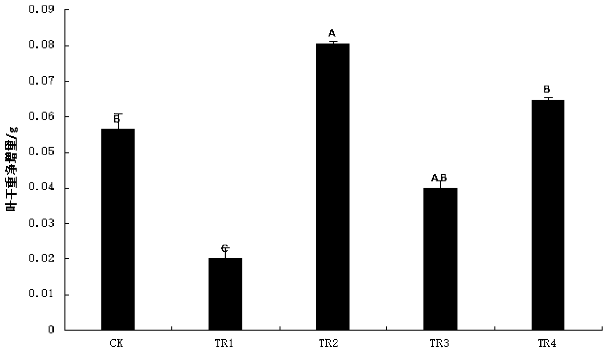 Oxygenation compound fertilizer for improving oxygen condition of jujube tree roots