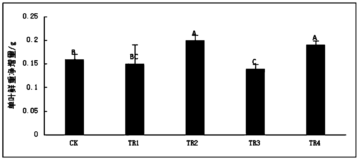 Oxygenation compound fertilizer for improving oxygen condition of jujube tree roots