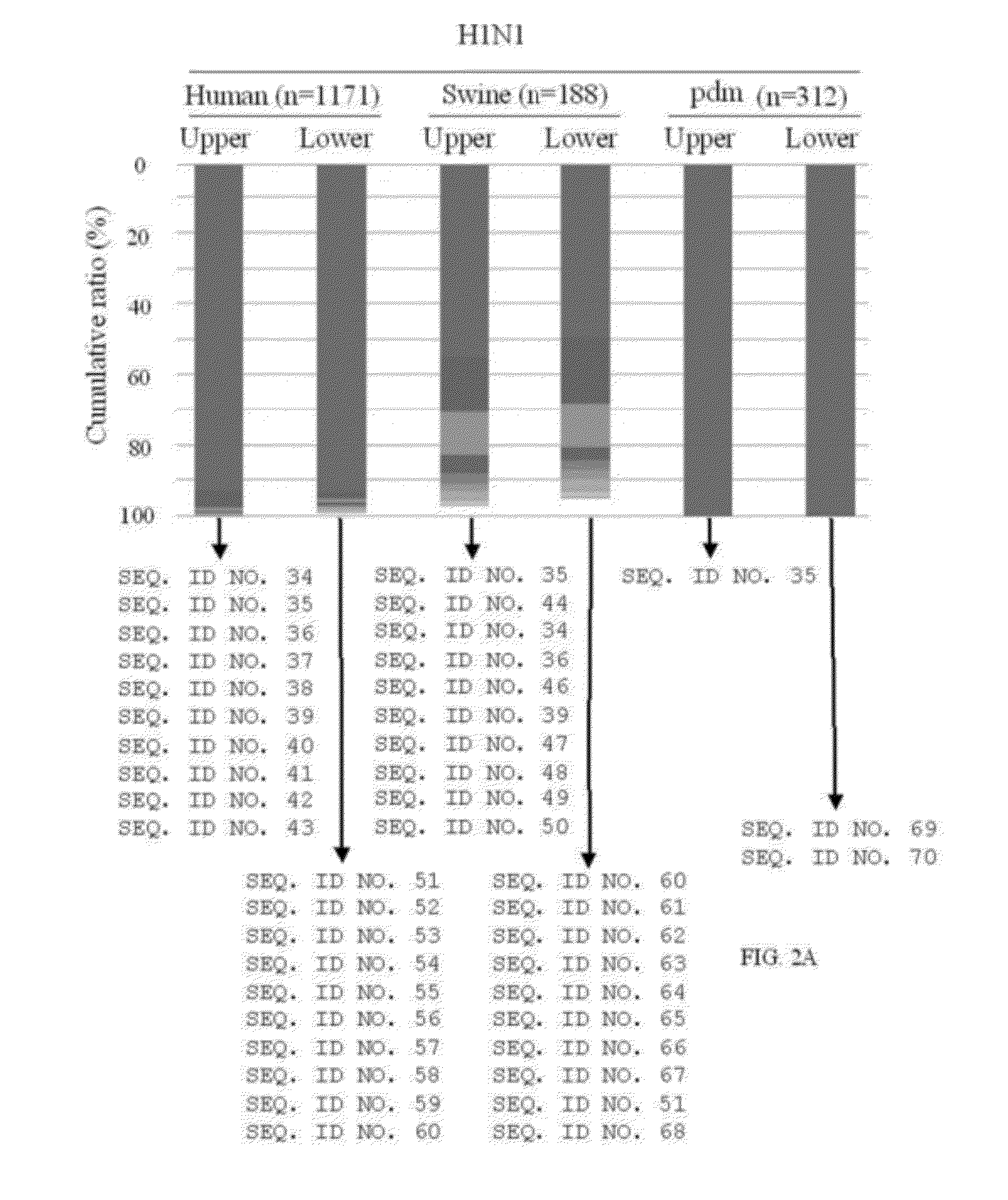 An Antigenic Peptide Derived From Influenza Virus And A Method For Selecting Anti-Influenza Virus Antibody