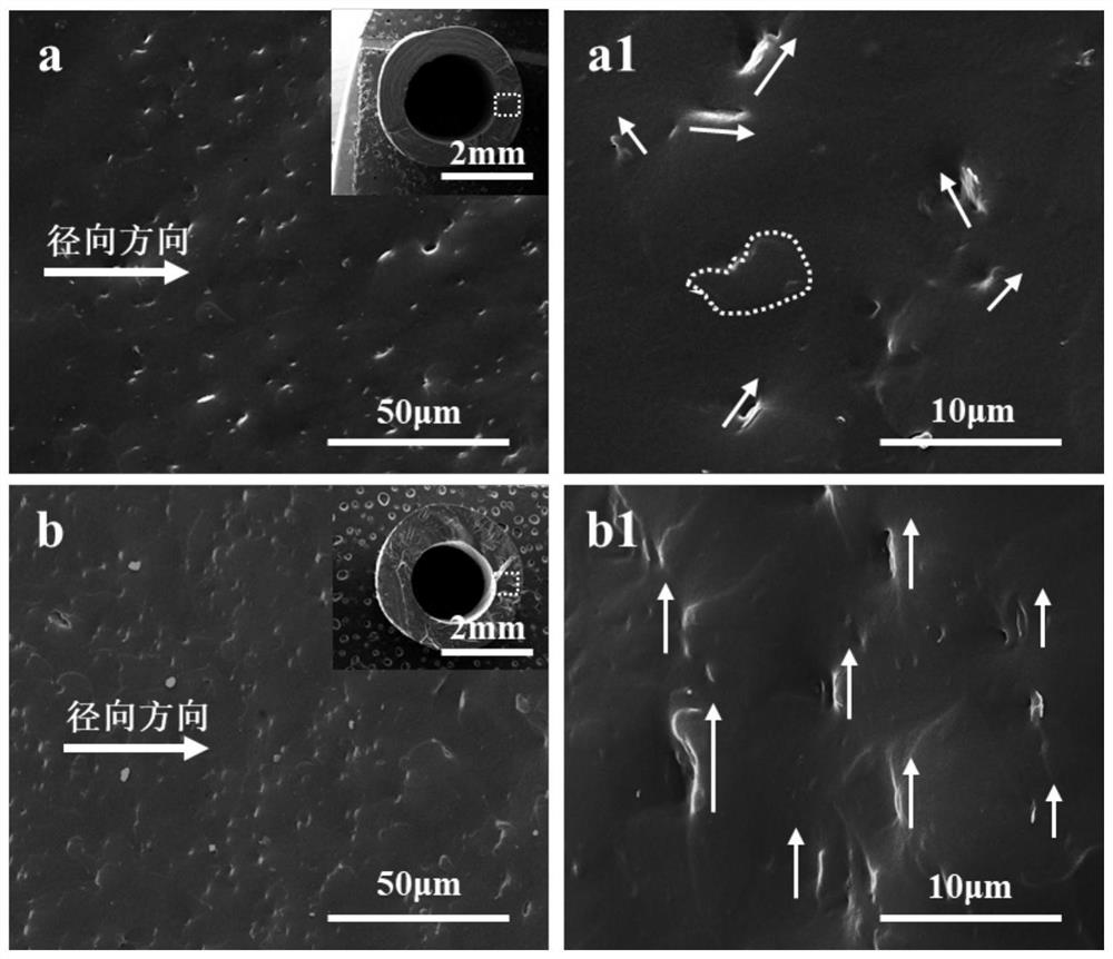 Polymer microcatheter with regular arrangement of two-dimensional sheet-like fillers and preparation method thereof