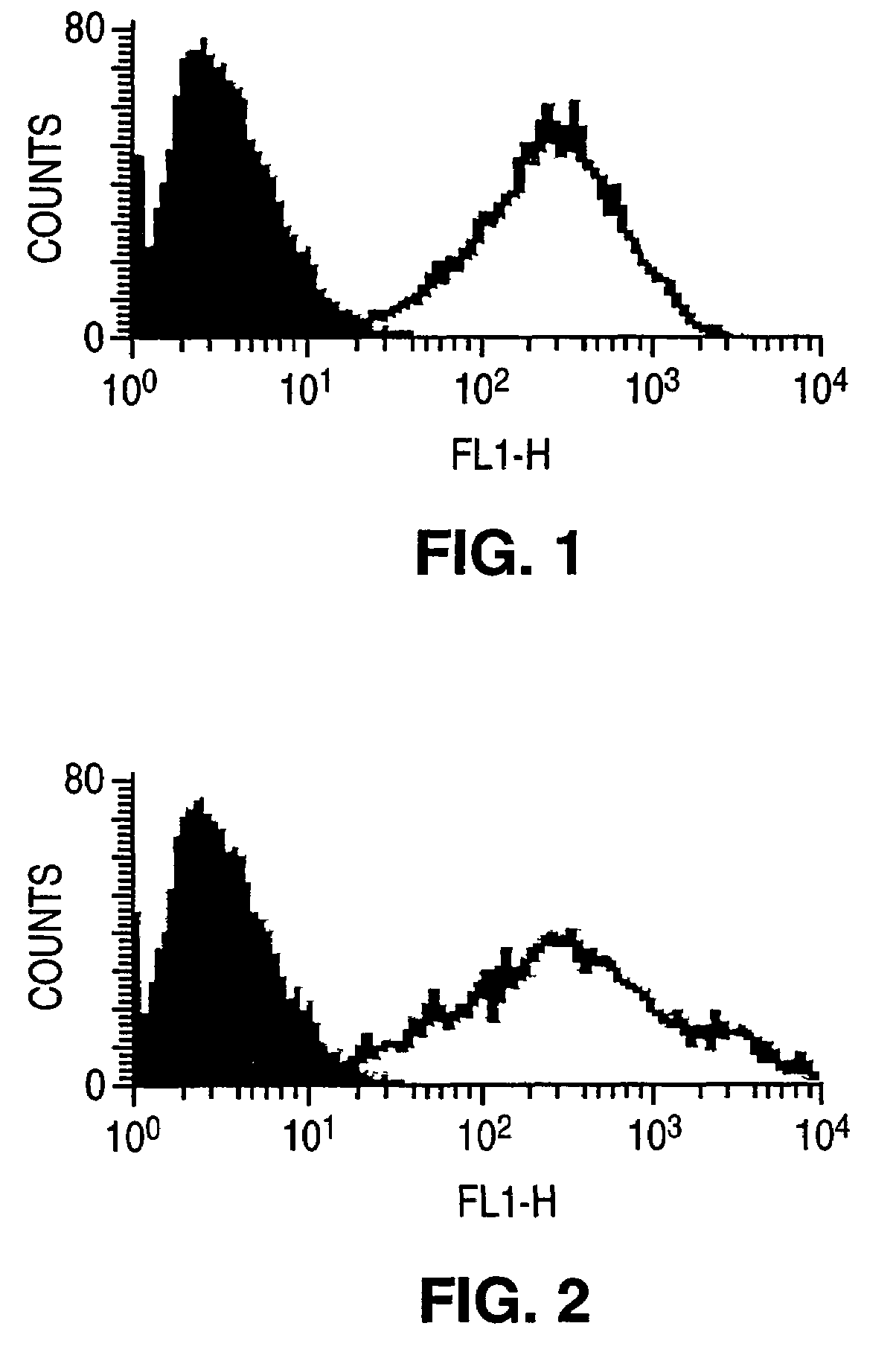 Anti-tumor antibody compositions and methods of use
