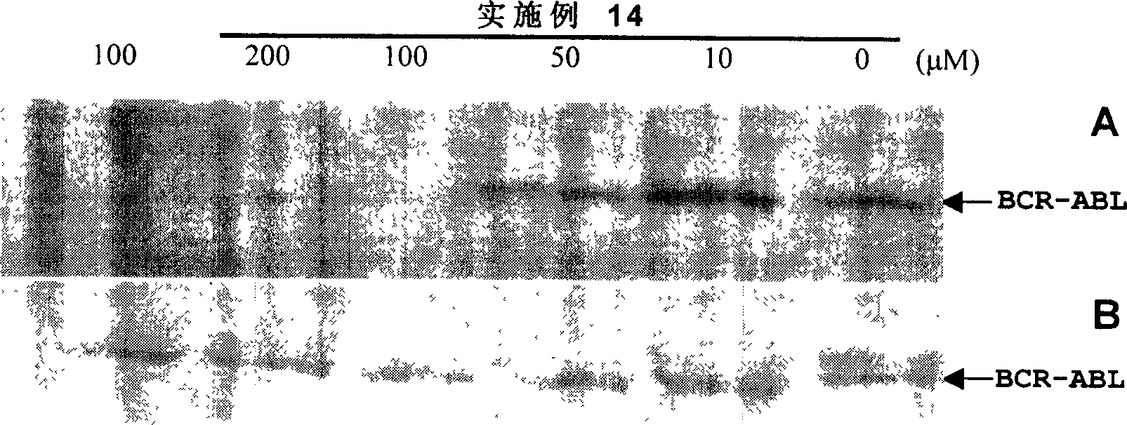 Biamido heterocyclic derivative with antitumour activity and its preparation method and use