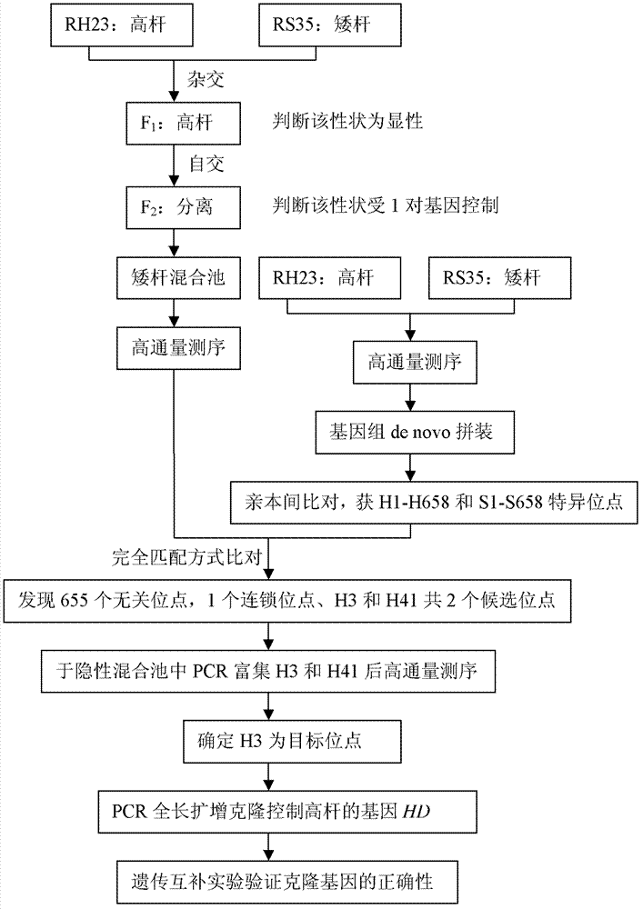 Method for sequencing clone genes with recessive mixed pools