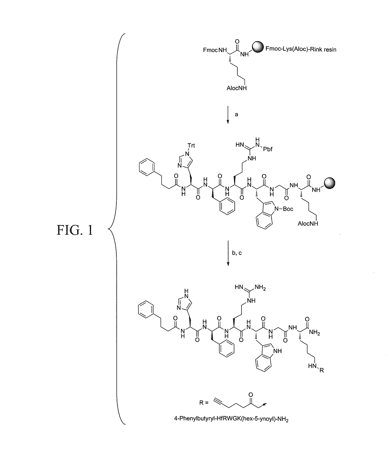 Melanocortin 1 receptor ligands and methods of use