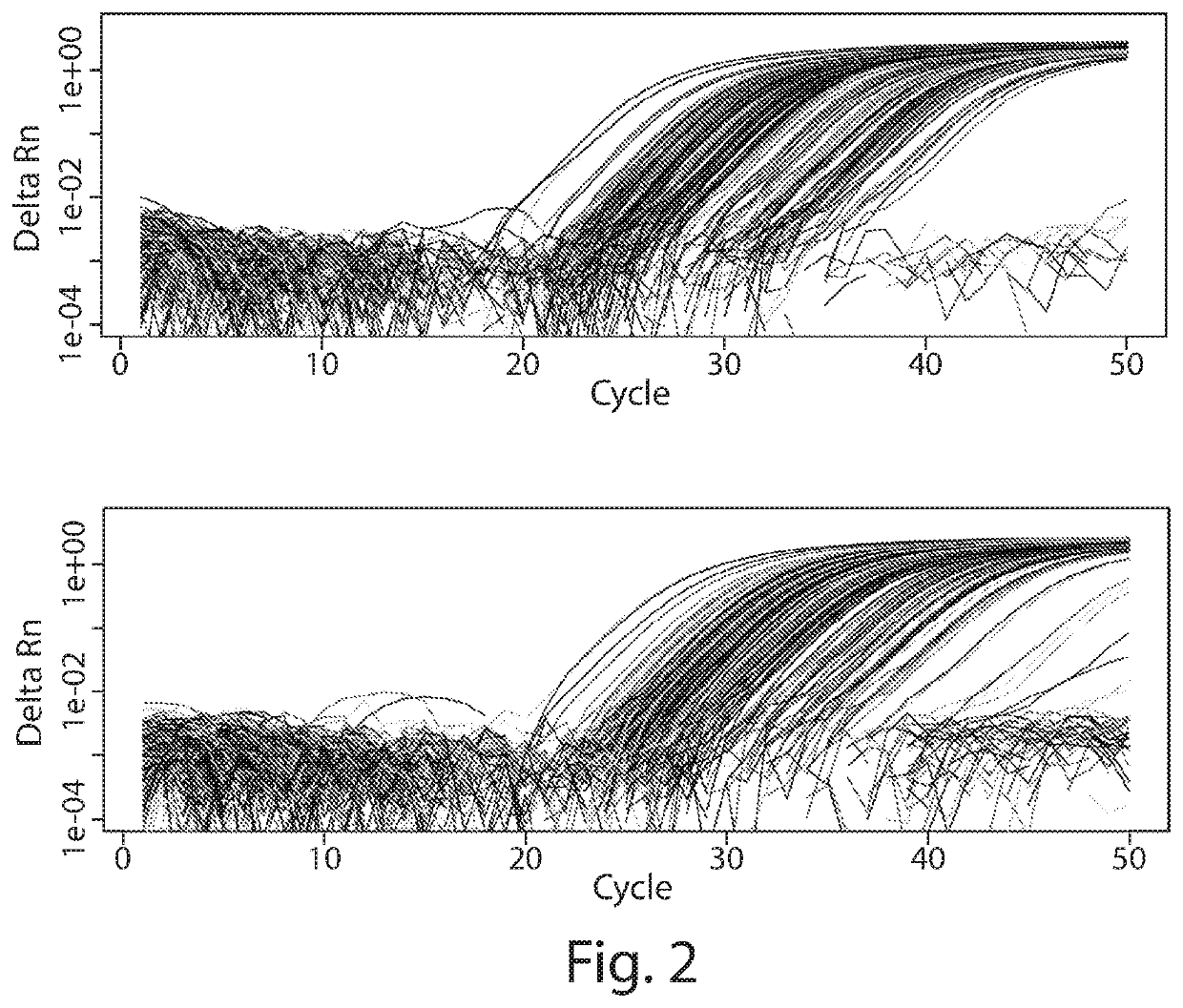 Methods for assessing risk using mismatch amplification and statistical methods