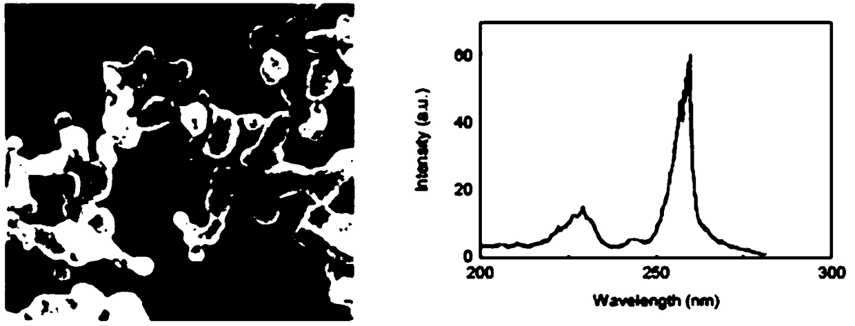 Fluorescent powder for warm white LED and preparation method thereof