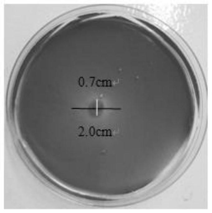 Alcaligenes of iron-producing carrier and application of alcaligenes