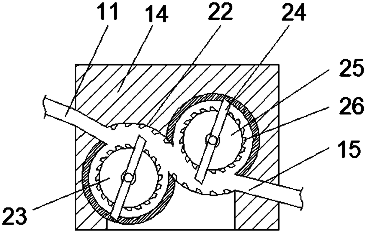 Peeling device for water chestnut processing