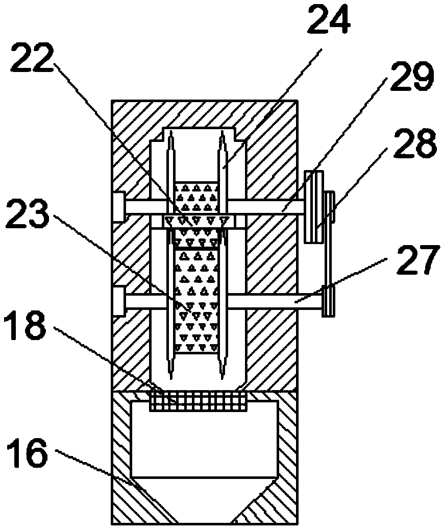 Peeling device for water chestnut processing