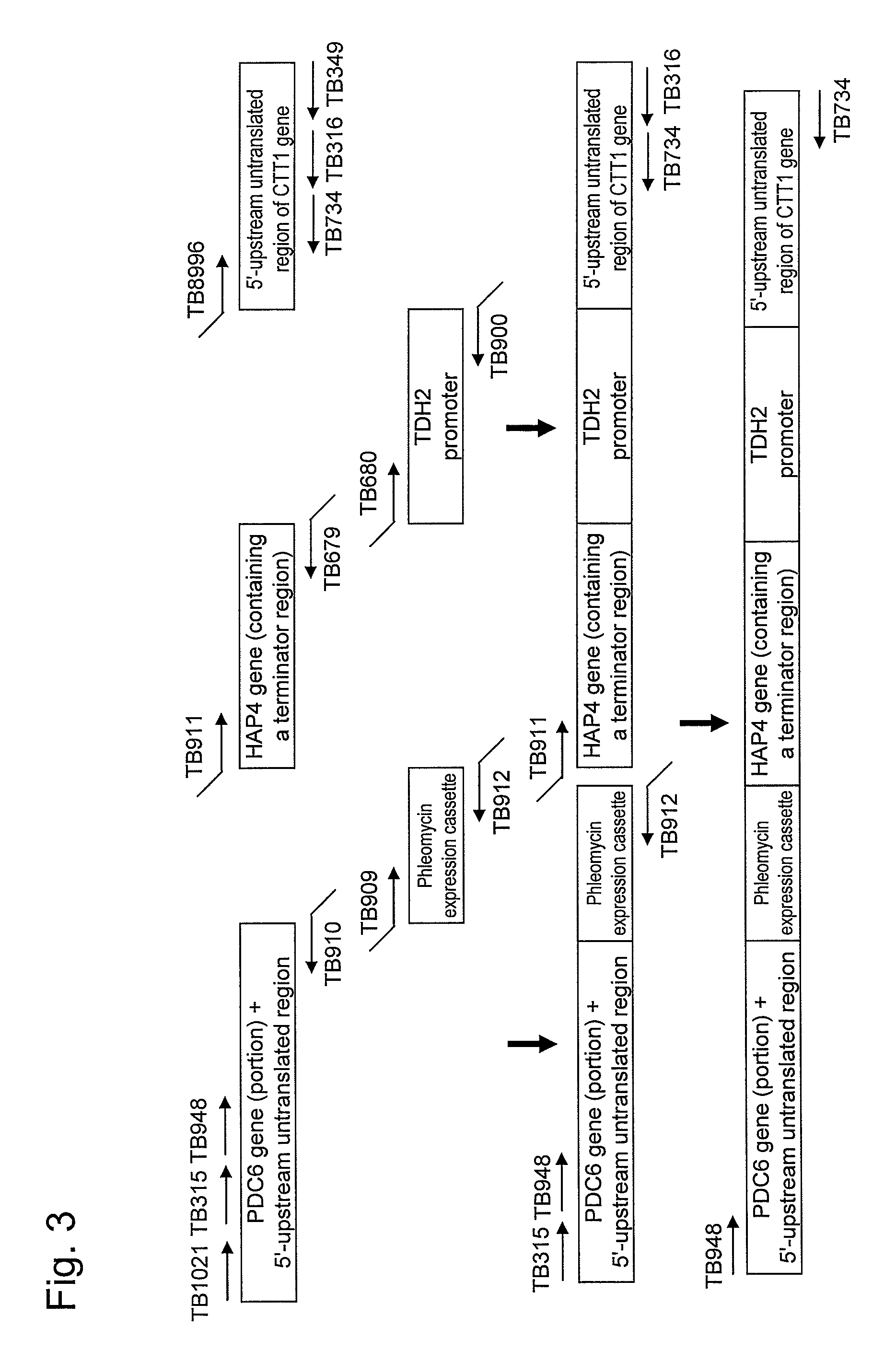 Yeast mutant and substance production method using the same