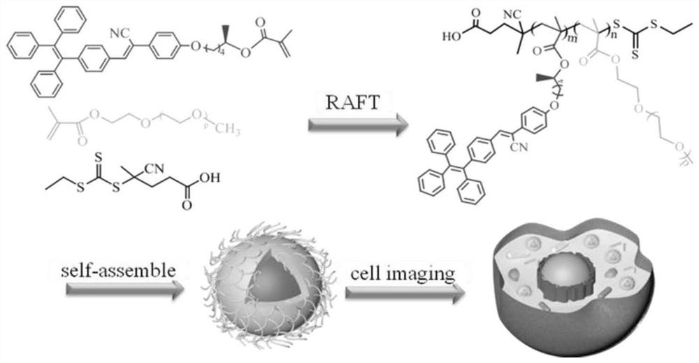 A kind of optically active aie fluorescent material and preparation method of water-based polymer