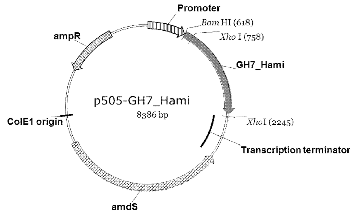 Polypeptides Having Cellobiohydrolase Activity And Polynucleotides Encoding Same