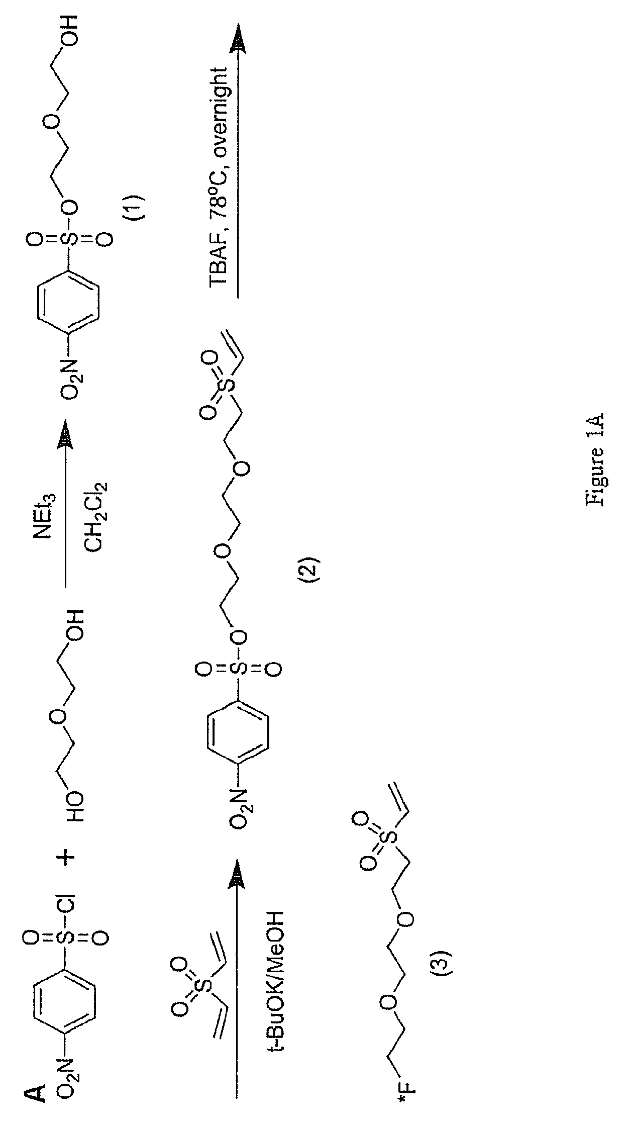 Vinylsulfone-based 18F-labeling compositions and methods and uses thereof