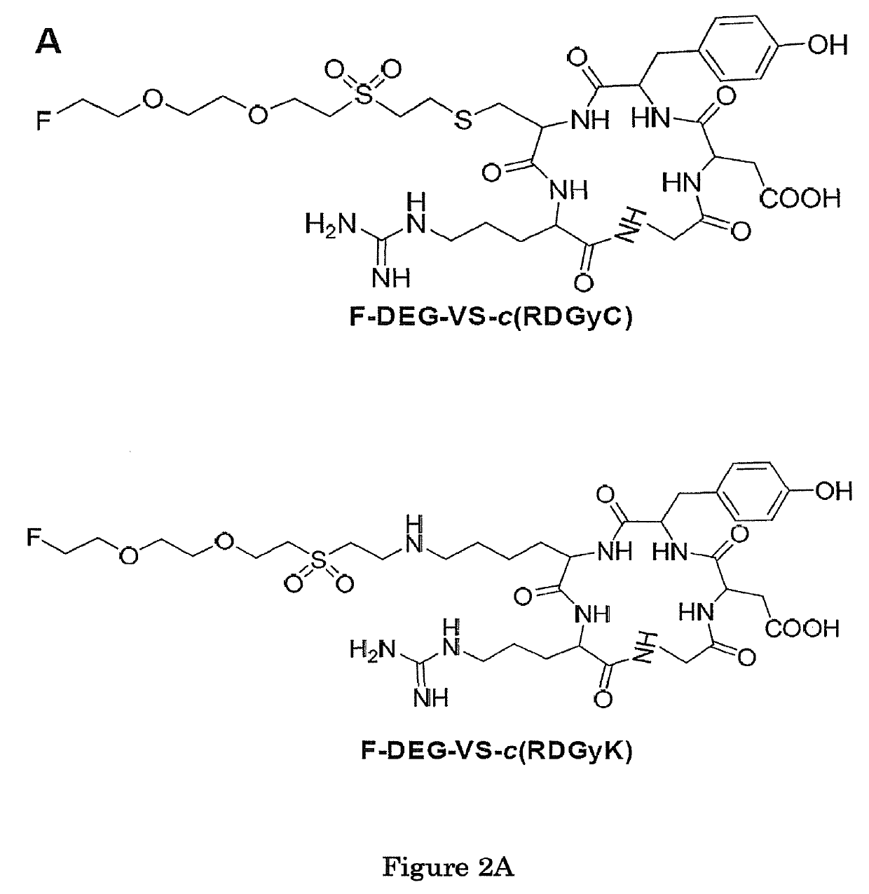 Vinylsulfone-based 18F-labeling compositions and methods and uses thereof