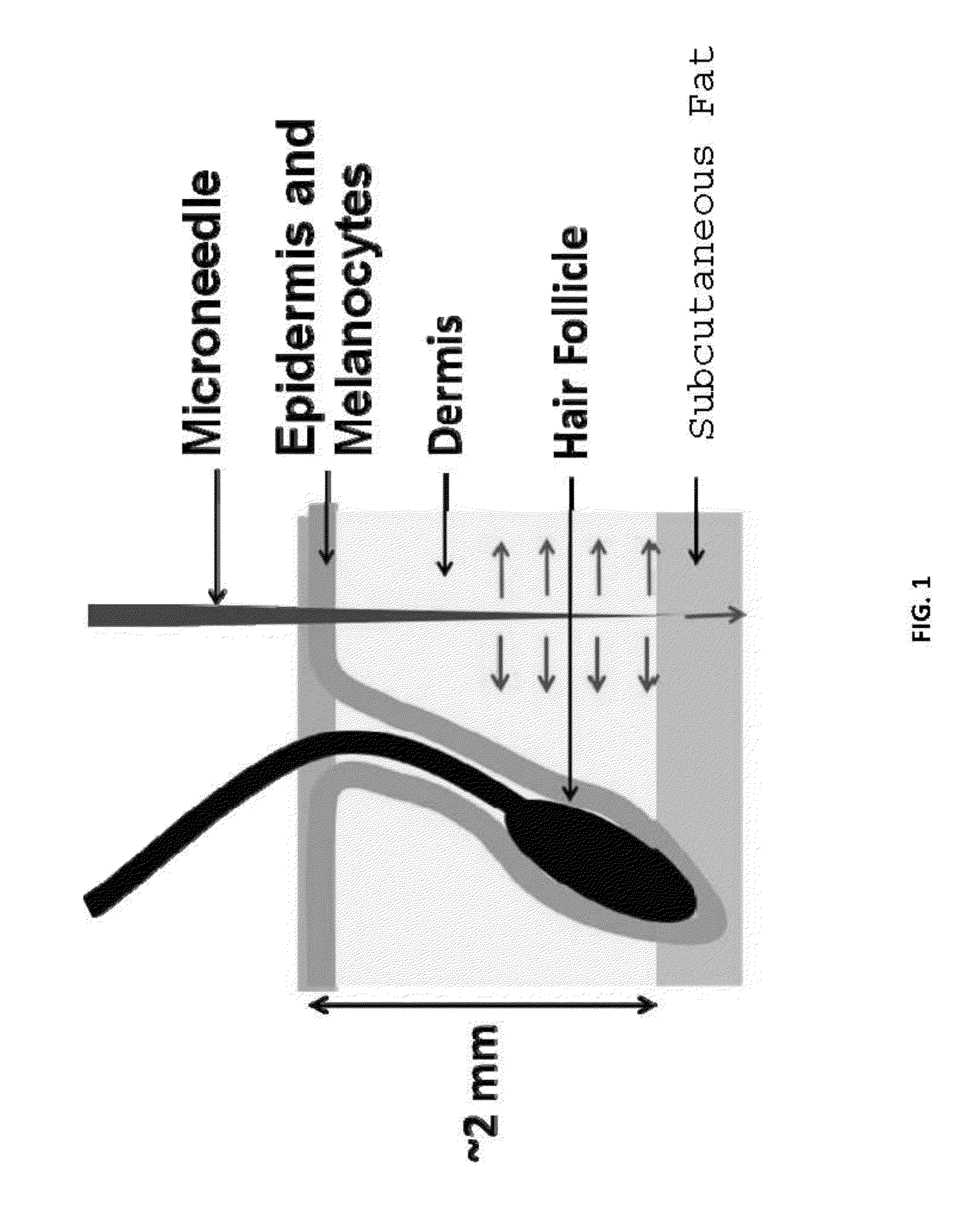 Fiber array for optical imaging and therapeutics