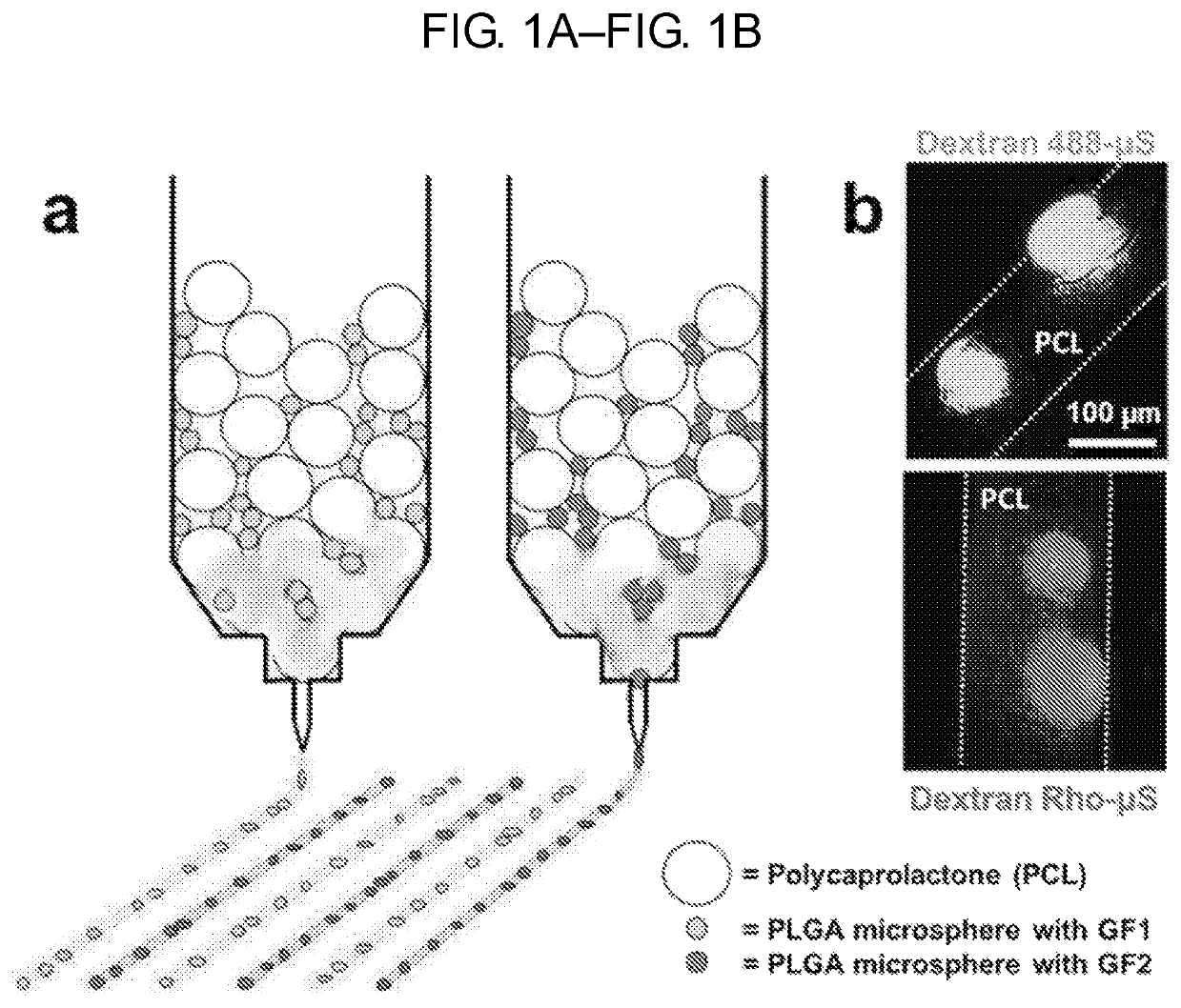 Spatiotemporal delivery system embedded in 3D-printing