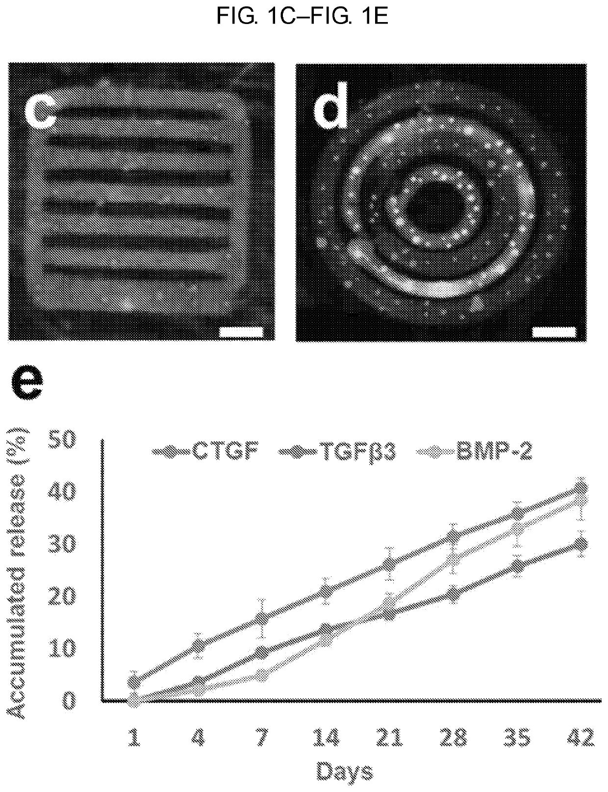 Spatiotemporal delivery system embedded in 3D-printing