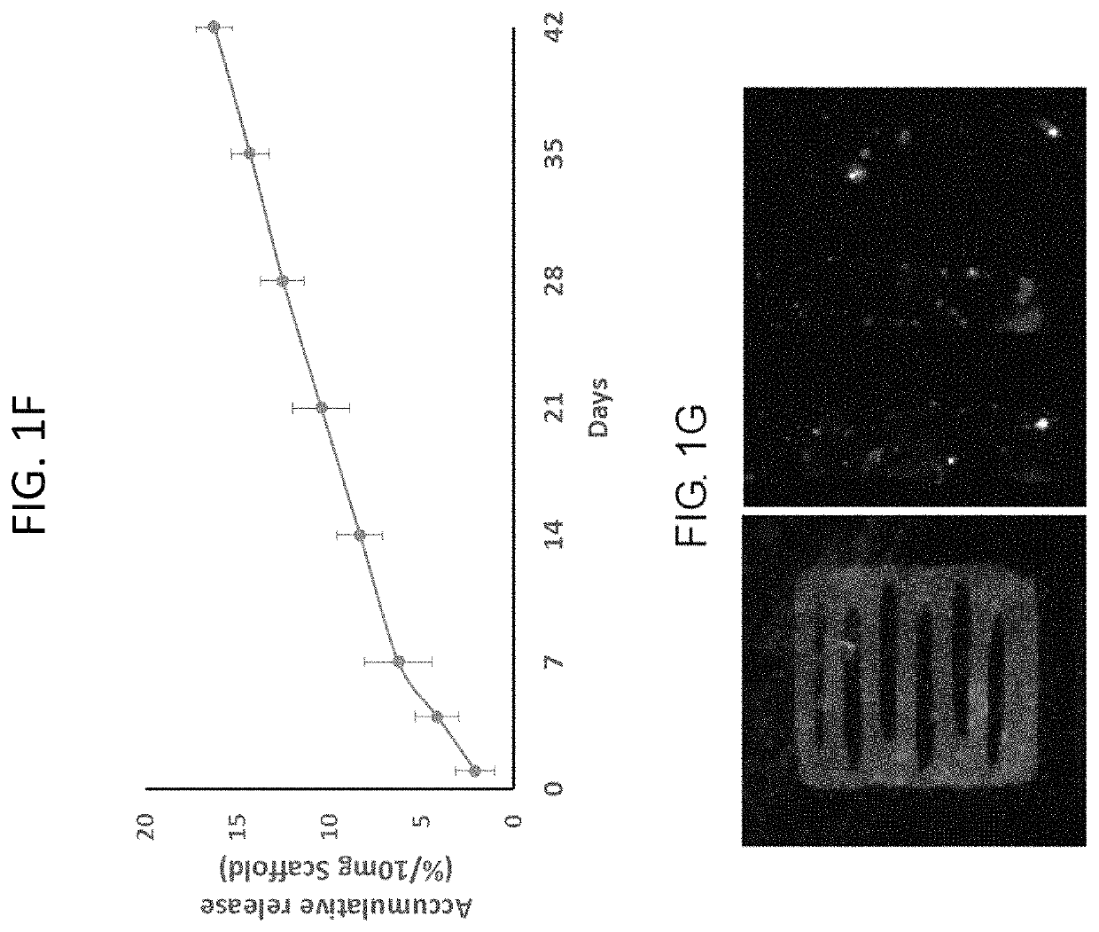 Spatiotemporal delivery system embedded in 3D-printing