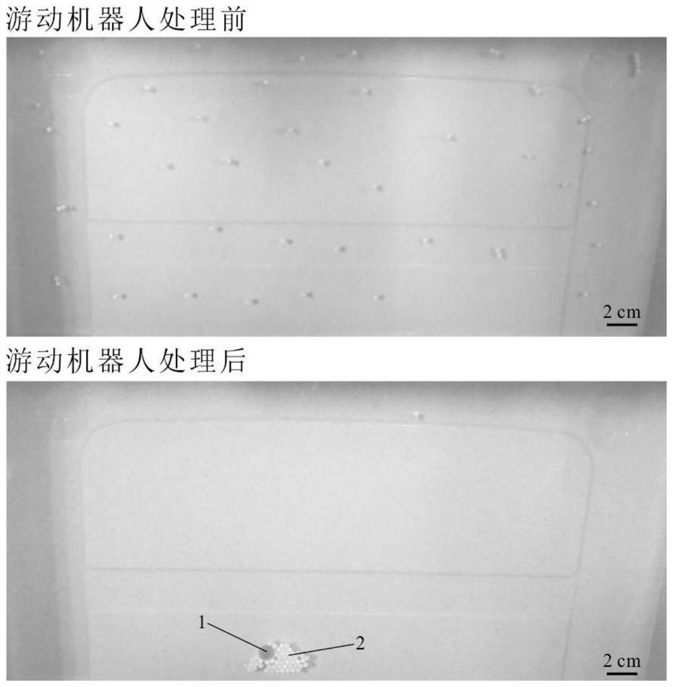 Intelligent hydrogel robot capable of cruising and collecting plastic pollutants on water surface and preparation method of robot