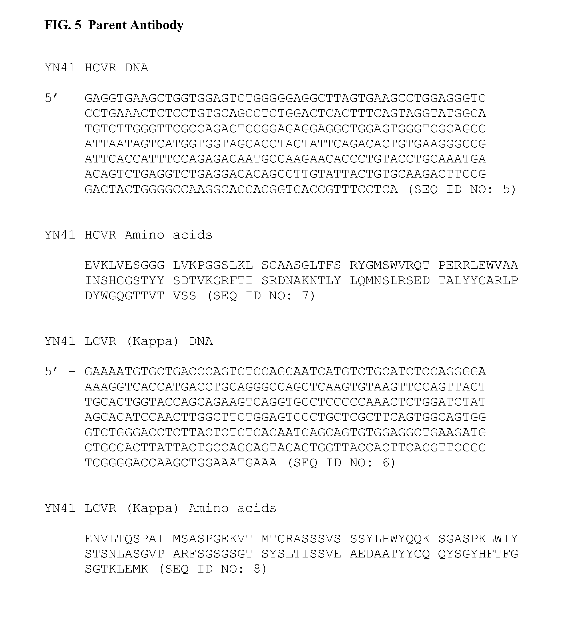 Anti-myostatin antibodies