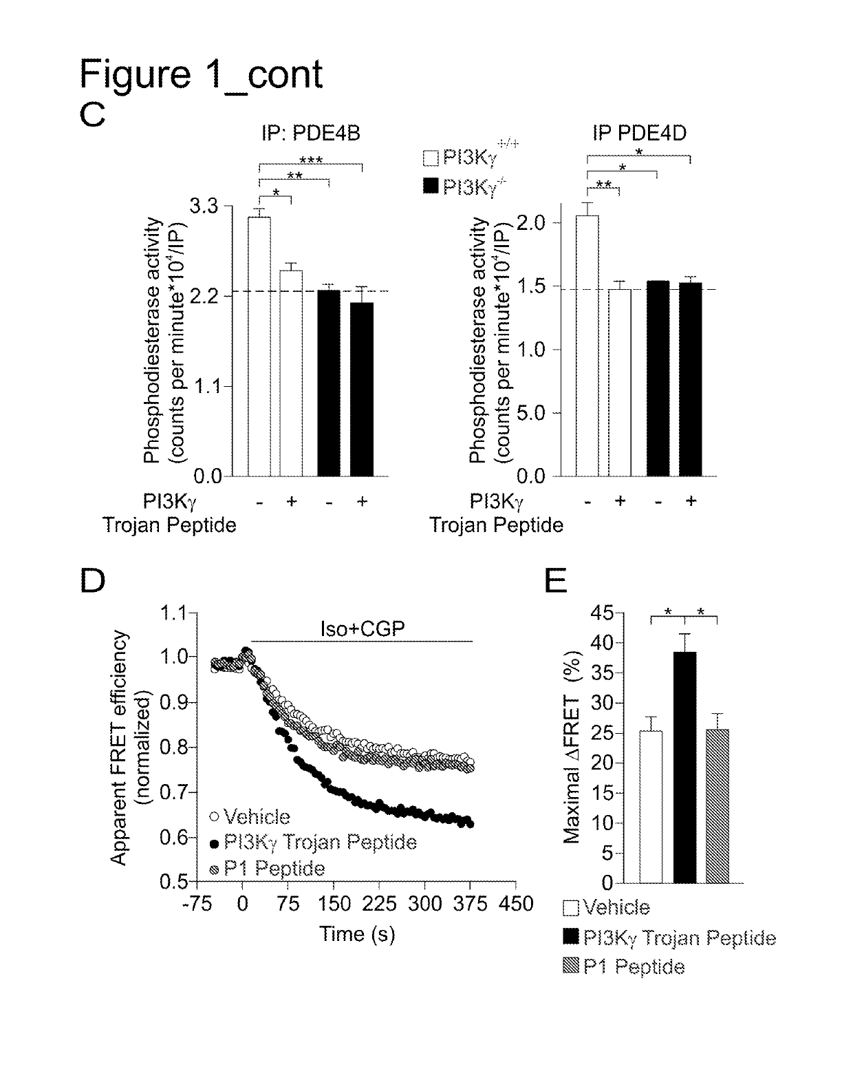 PI3K gamma inhibitor peptide for treatment of respiratory system diseases