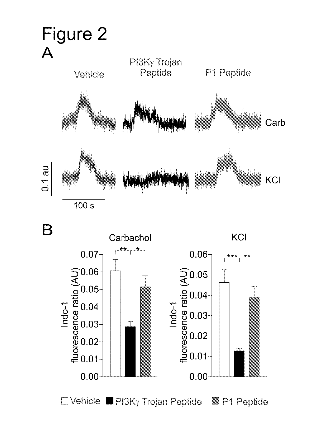 PI3K gamma inhibitor peptide for treatment of respiratory system diseases