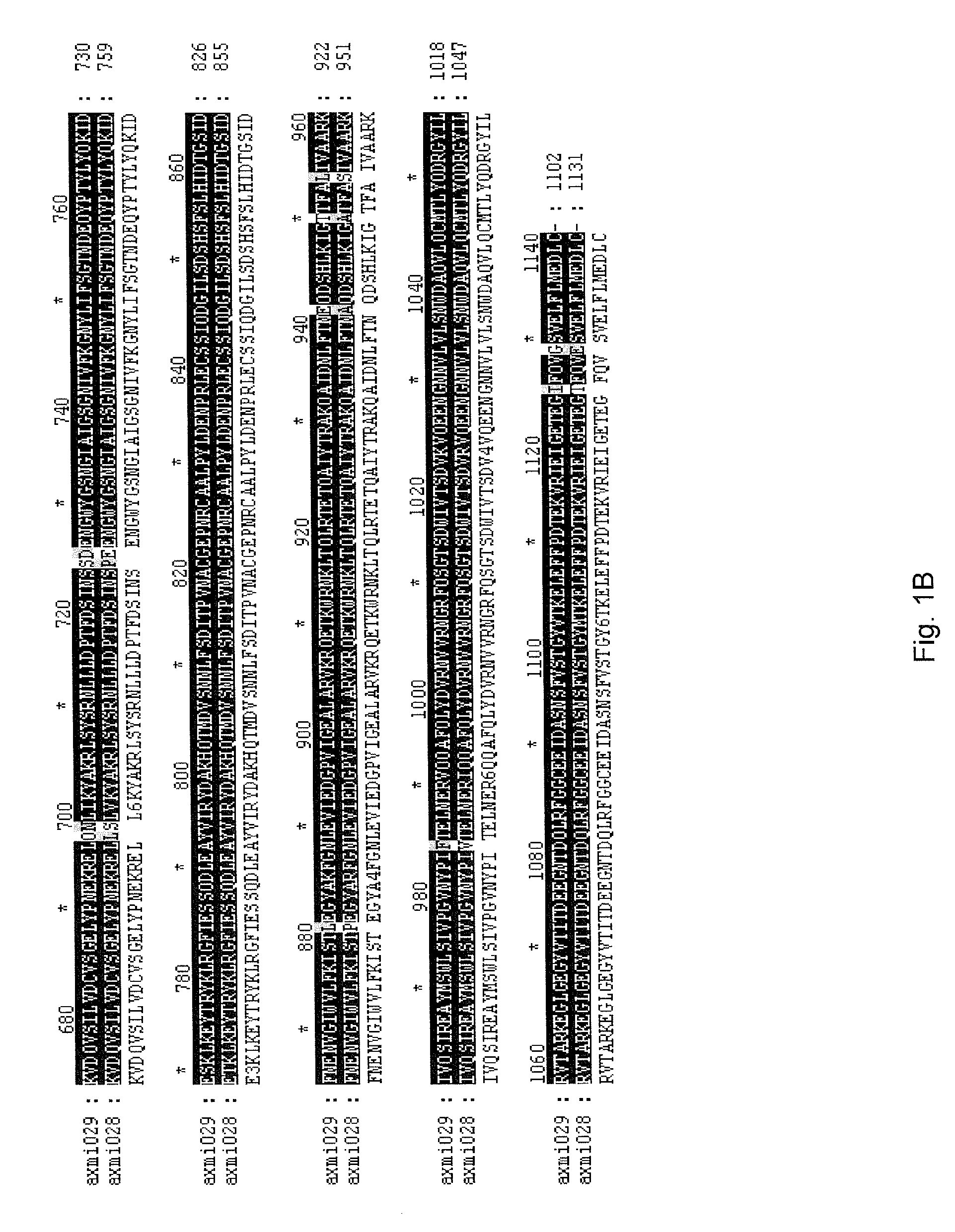 Axmi-028 and axmi-029, a family of novel delta-endotoxin genes and methods for their use