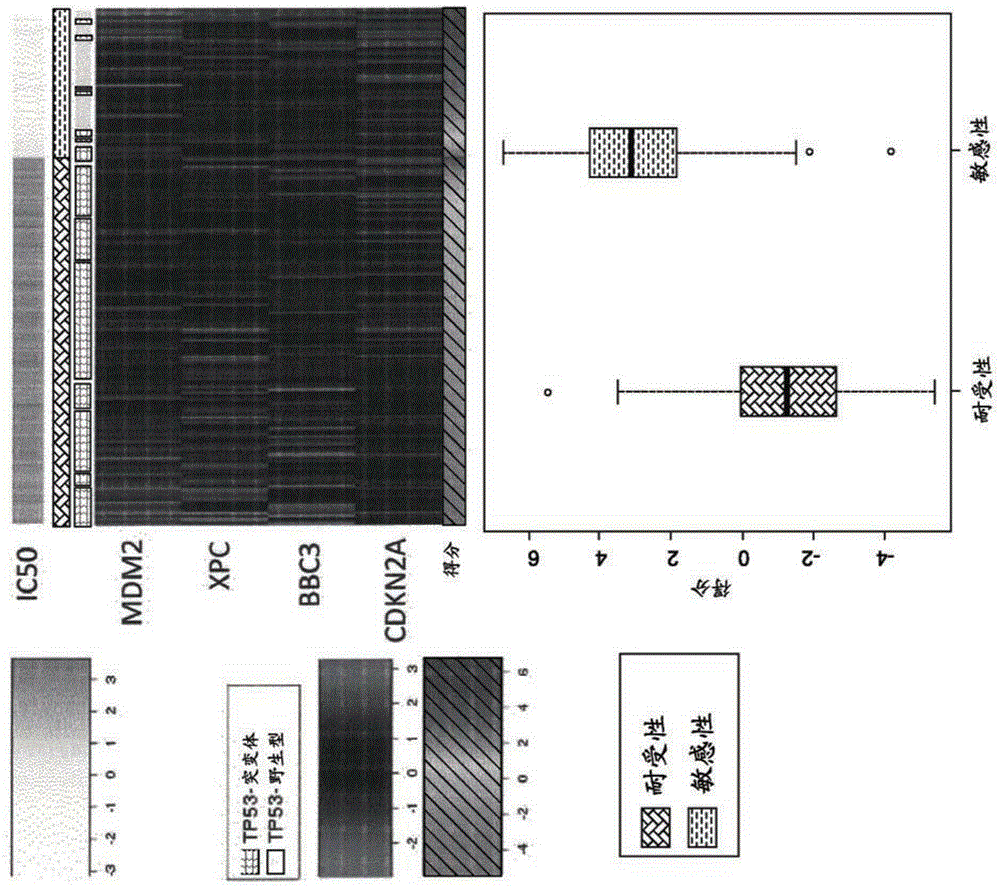 mRNA-based gene expression for personalizing patient cancer therapy with MDM2 antagonist