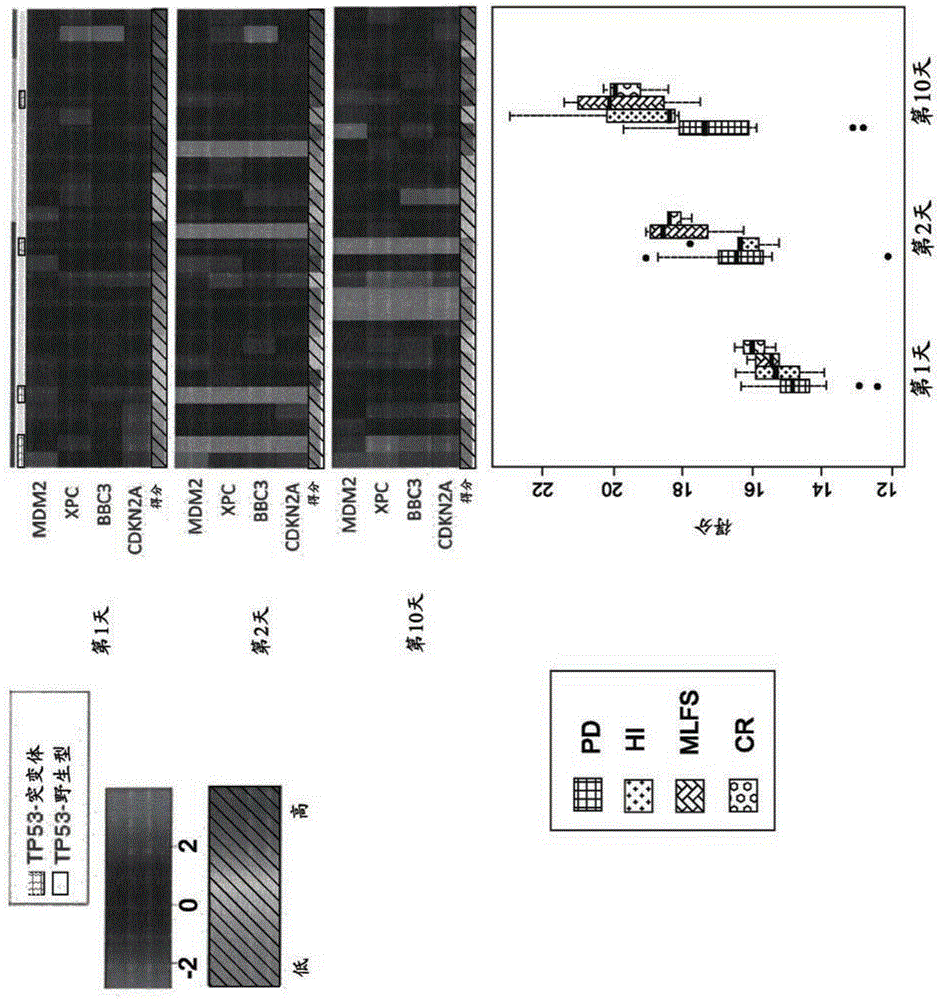 mRNA-based gene expression for personalizing patient cancer therapy with MDM2 antagonist