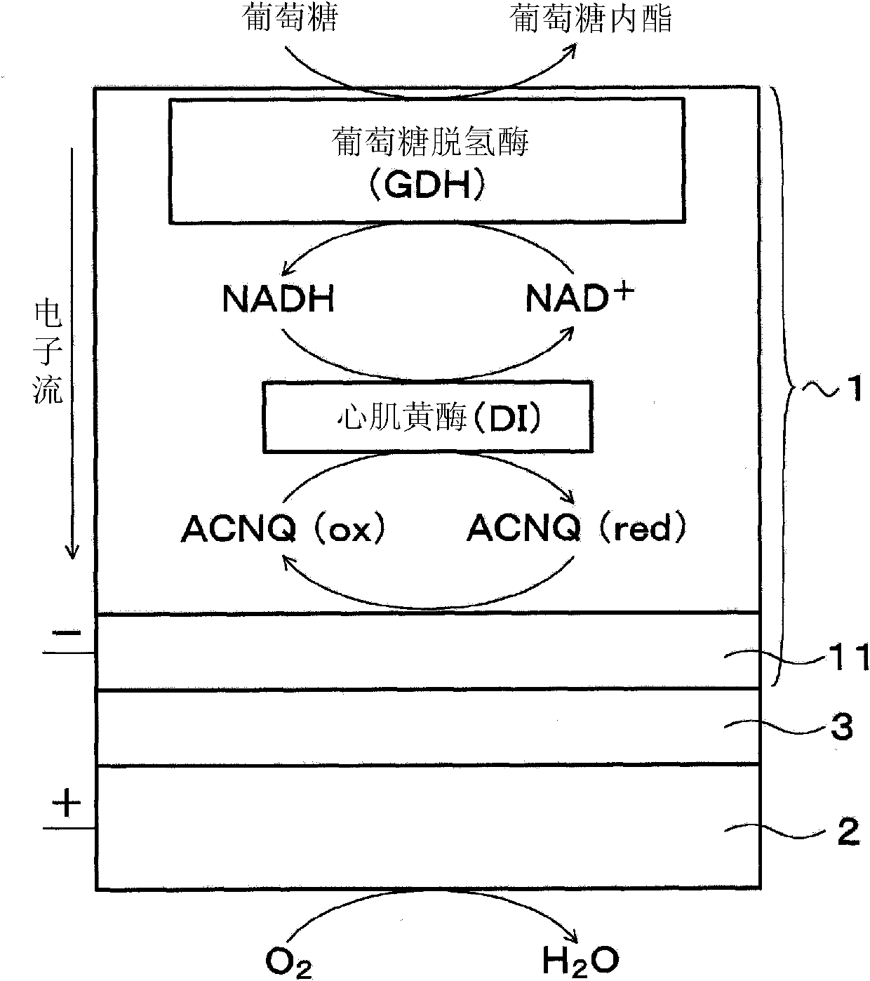 Fuel cell and electronic device