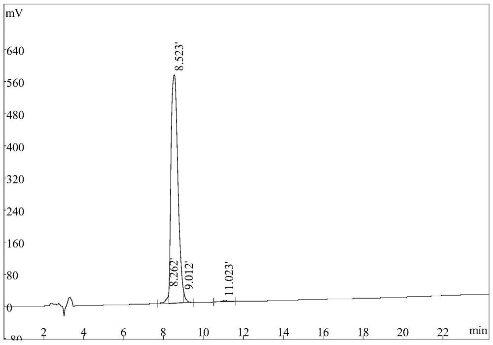 Functional small peptide KP-11 and application thereof