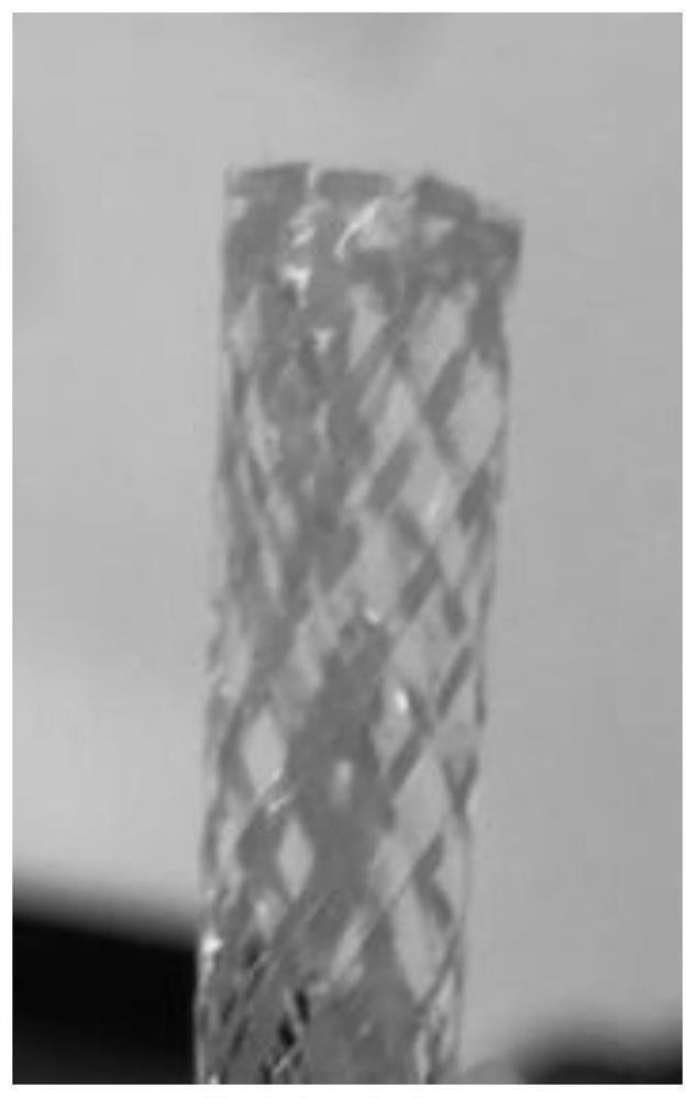 Preparation method of tanshinone Ⅱa vascular stent based on 3D printing