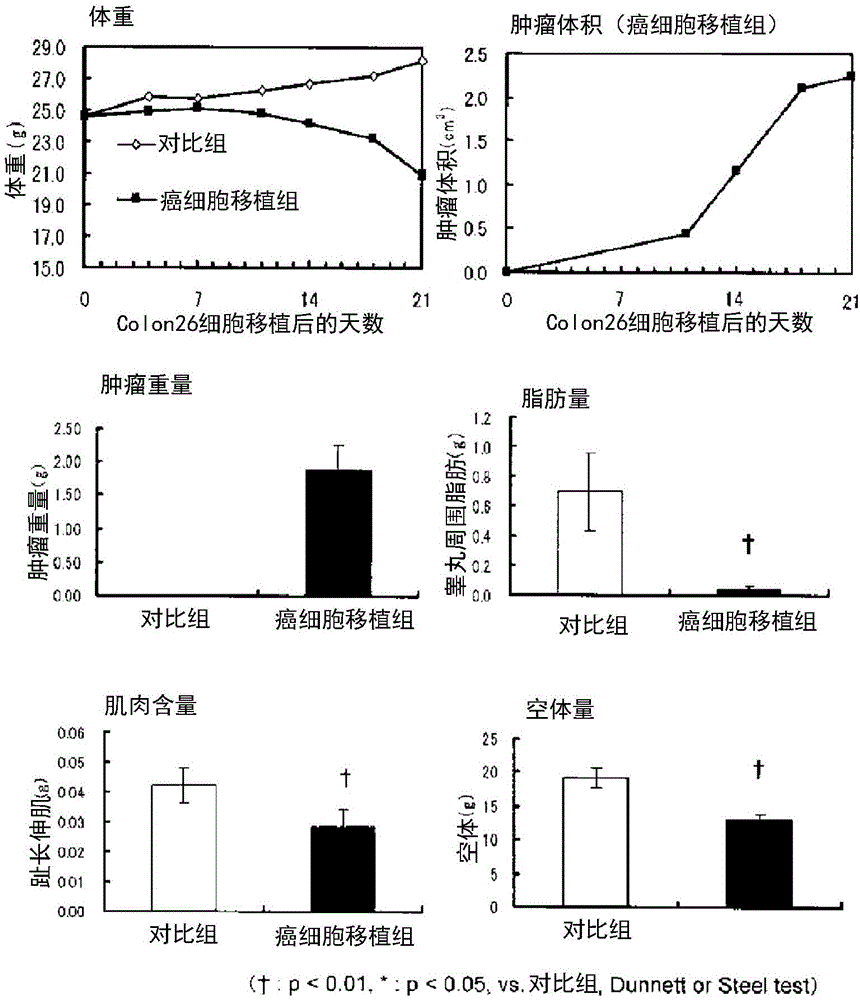 Composition for preventing and/or ameliorating cancer-related irreversible metabolism disorders