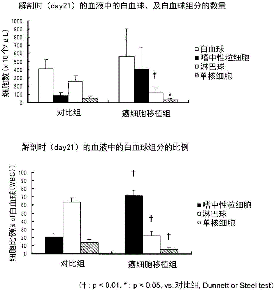 Composition for preventing and/or ameliorating cancer-related irreversible metabolism disorders