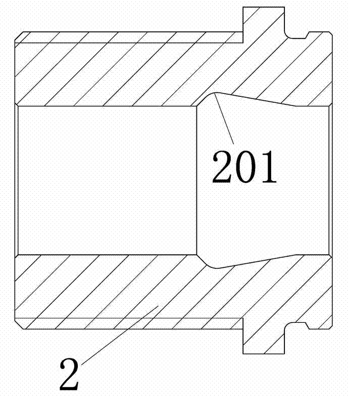 Hot runner hot nozzle assembly capable of directly changing color