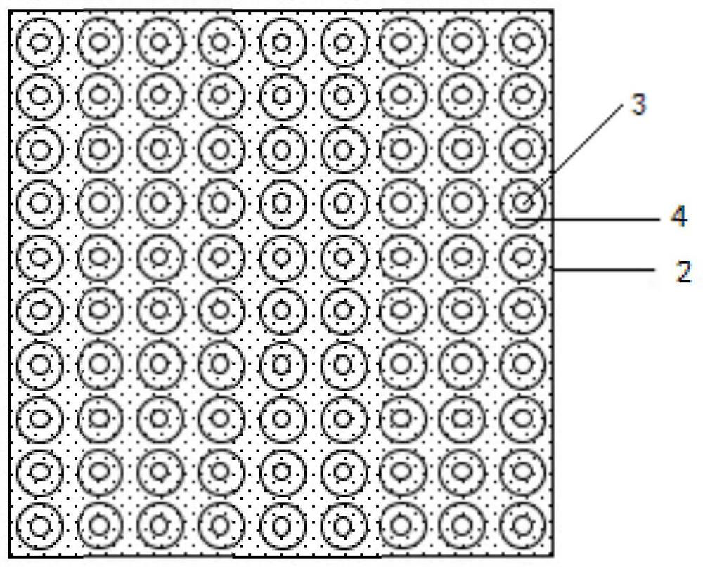 Bioanalysis chip capable of realizing cell capture and fixation