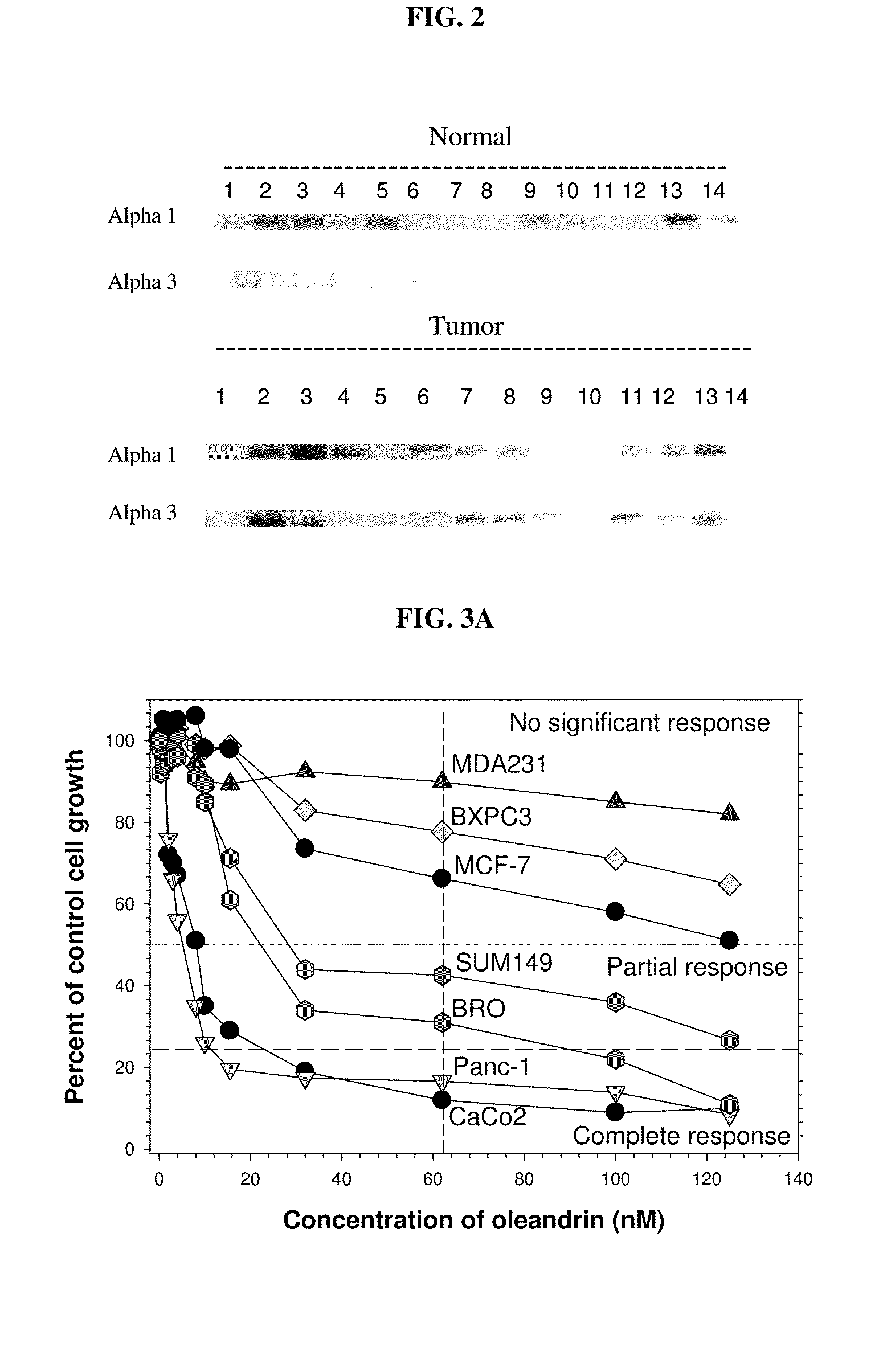 Method of Determining the Probability of a Therapeutic Response in Cancer Chemotherapy With Cardiac Glycoside