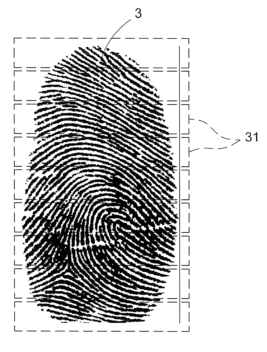 Fingerprint identification method and device thereof
