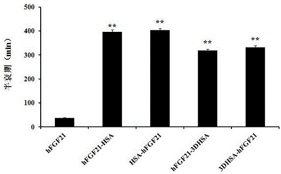 Recombinant human fibroblast growth factor 21 fusion protein and application thereof in preparation of medicine for treating metabolic diseases