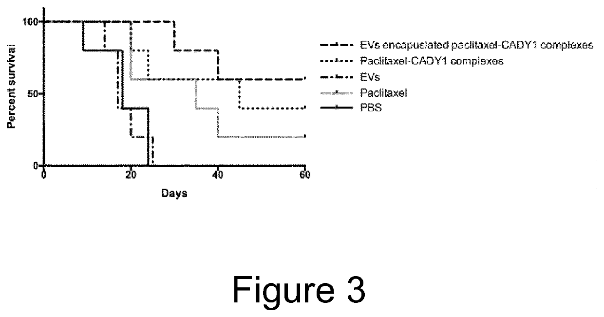 Cell penetrating peptide (CPP)-mediated ev loading
