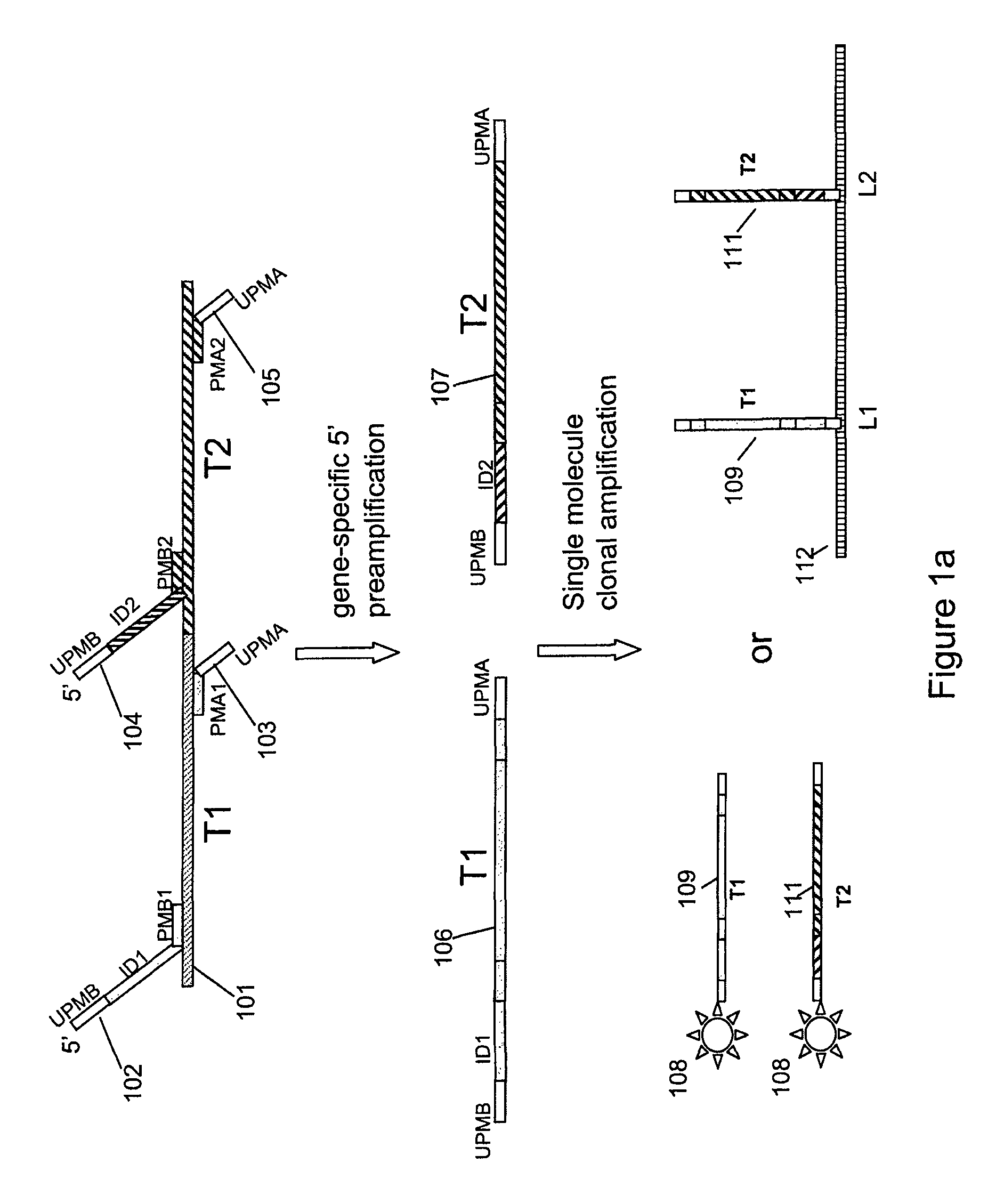 Multiplex nucleic acid detection methods and systems