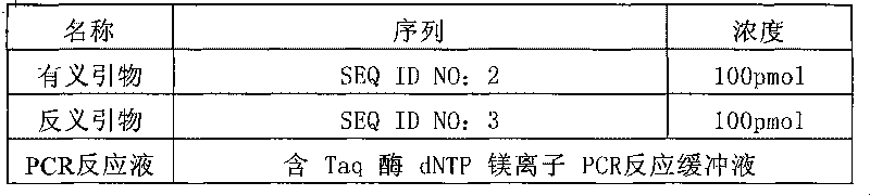 SNP rs4646418 of CYP1A2 gene and application thereof in relevant drug metabolism activity detection