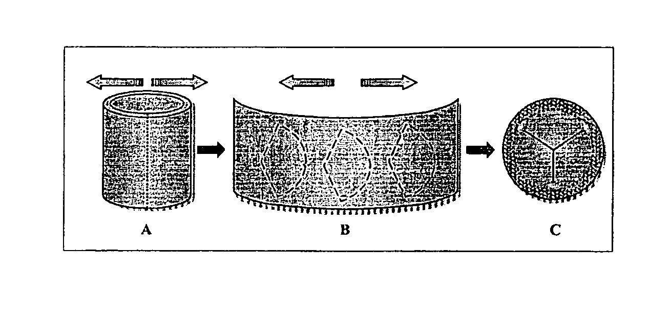 Tissue material and process for bioprosthesis
