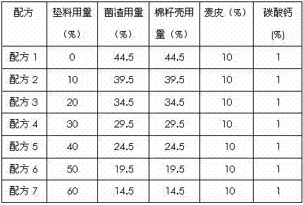 Special cultivation material formula for high-yield high-quality panus giganteus and industrialized cultivation method