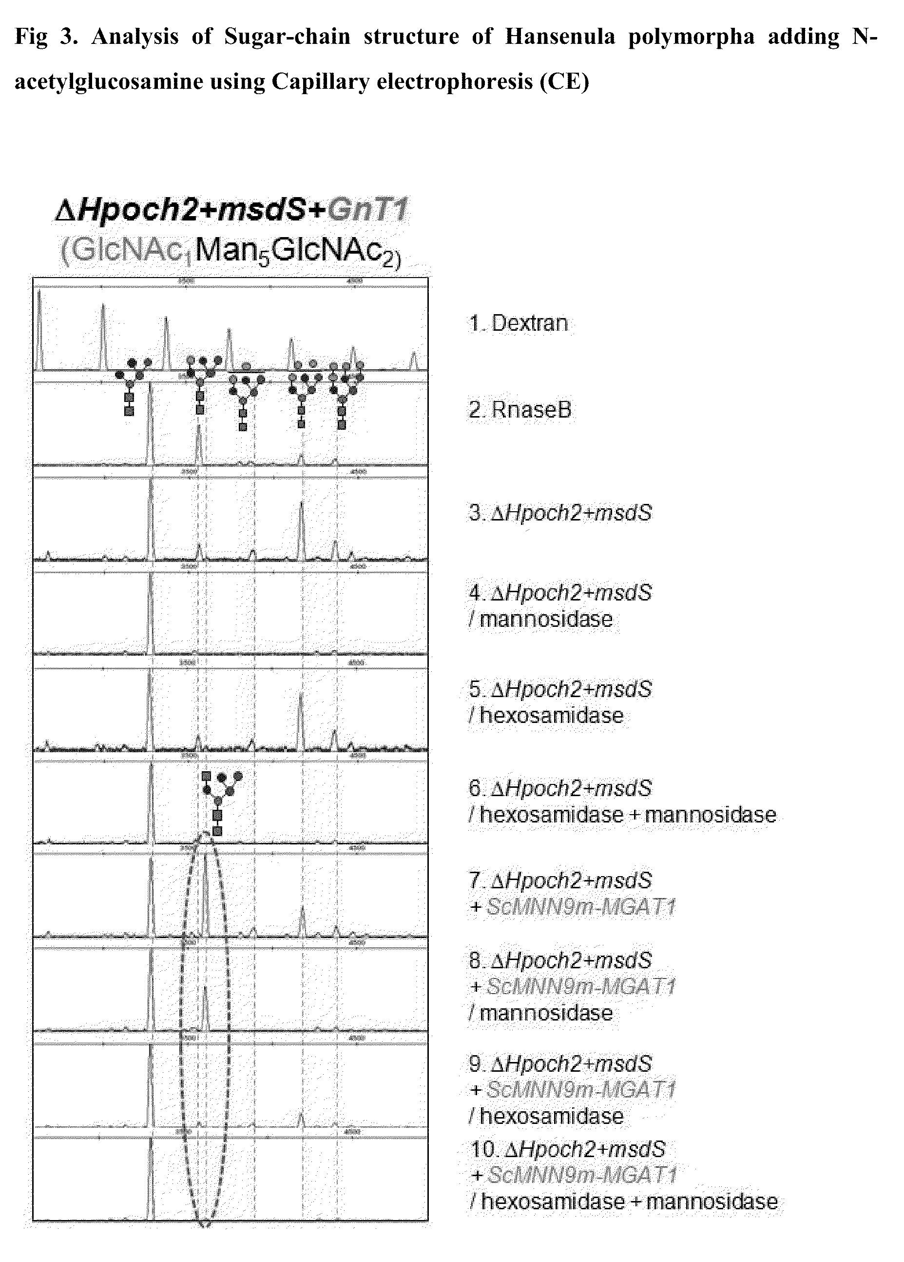 Hansenula polymorpha gene coding for α 1,6-mannosyltransferase and process for the production of recombinant glycoproteins with Hansenula polymorpha mutant strain deficient in the same gene