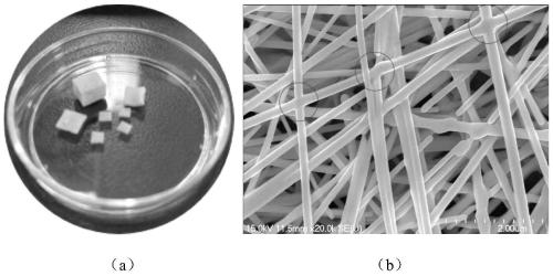 Nano metal aerogel sterilizing and filtering material, preparation method thereof and protective mask
