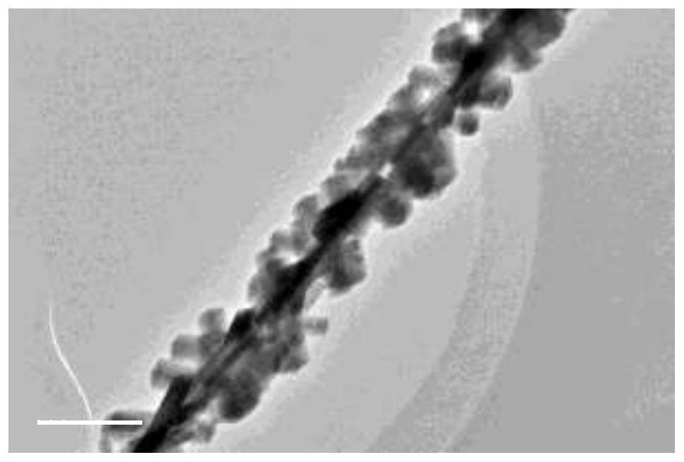 Preparation method and application of core-shell petal-shaped nickel-cobalt-phosphorus coated silver nanowire electro-catalysis electrode material