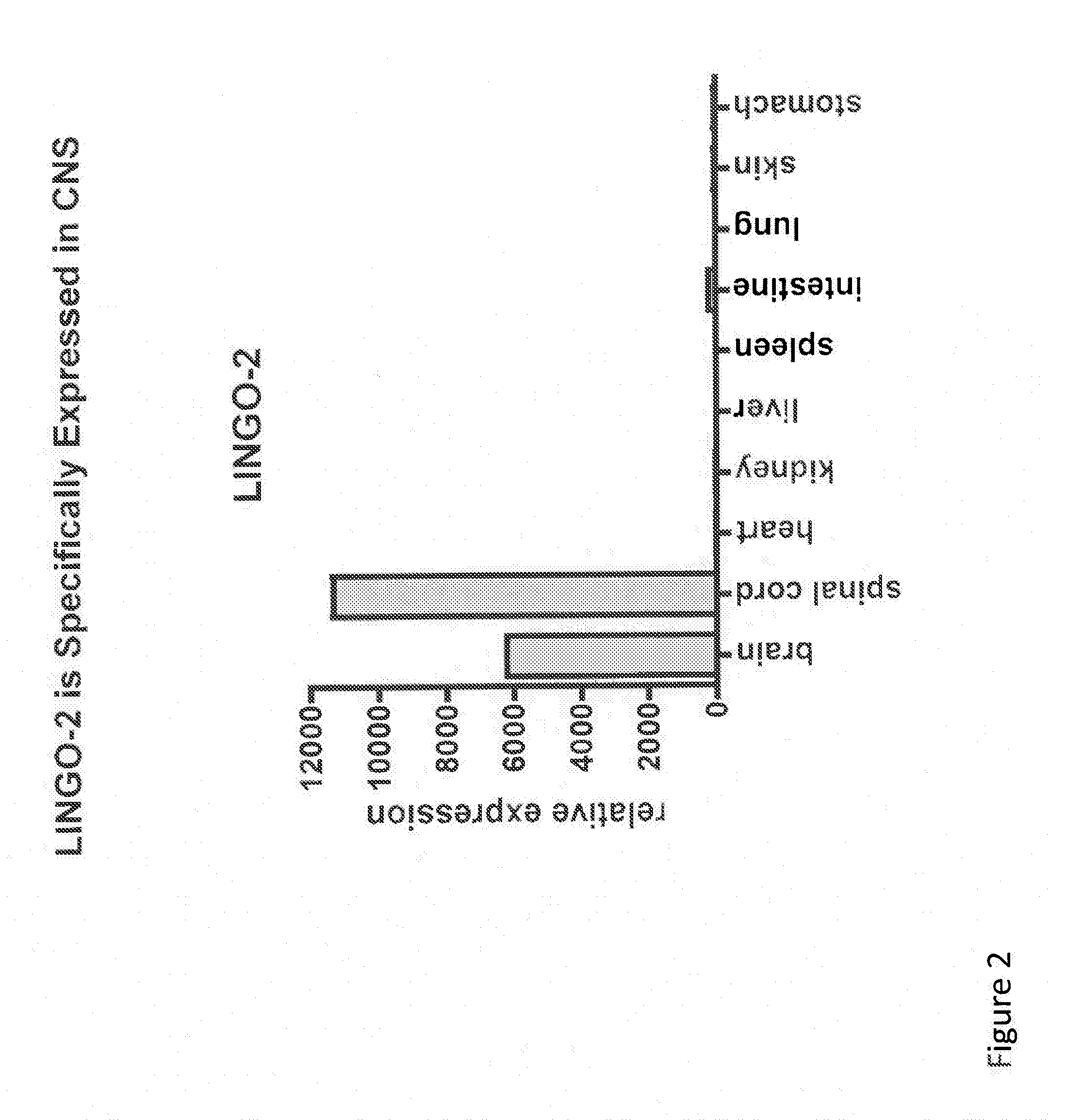 Lingo-2 antagonists for treatment of conditions involving motor neurons