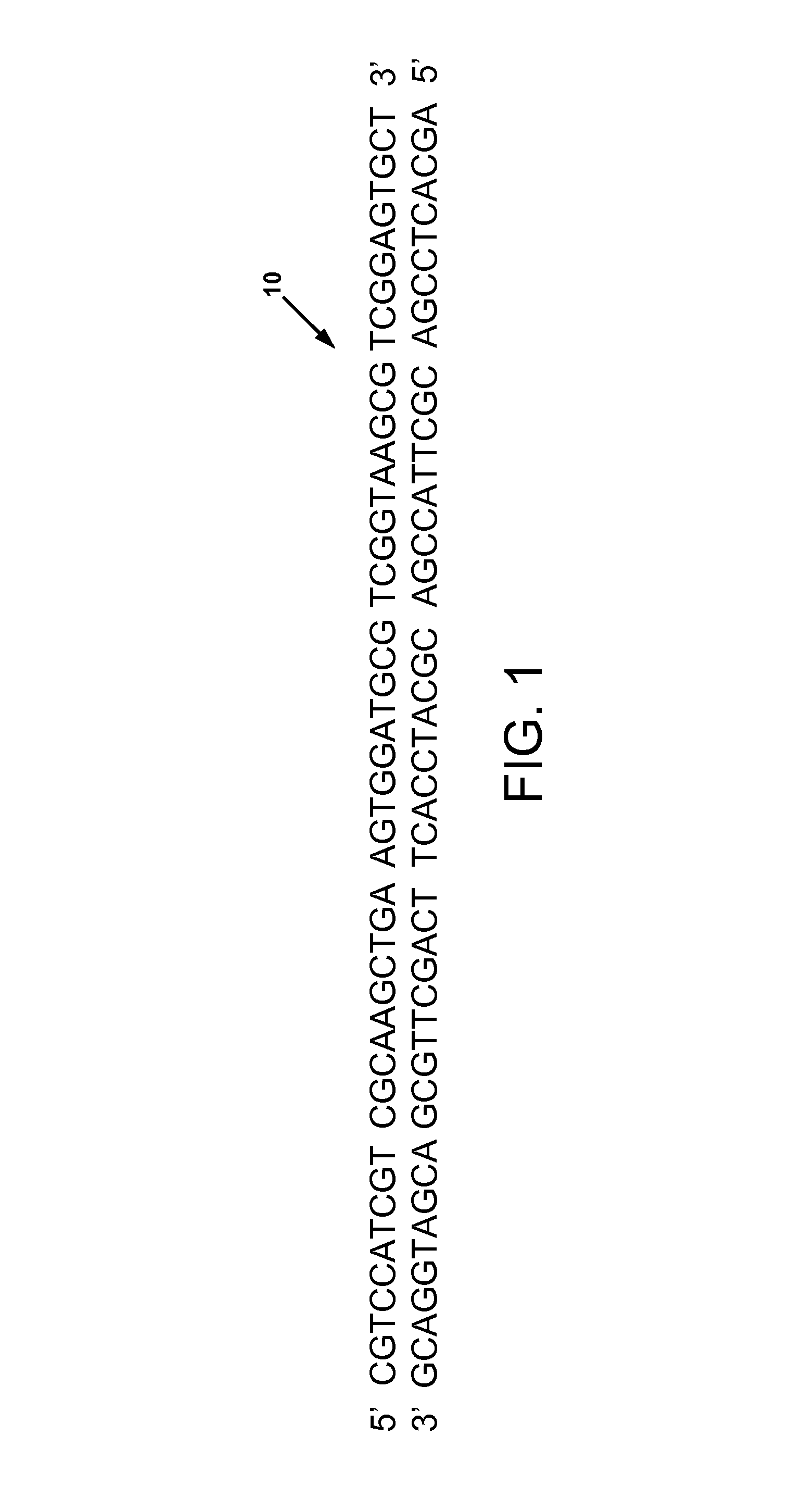 Combinatorial DNA taggants and methods of preparation and use thereof