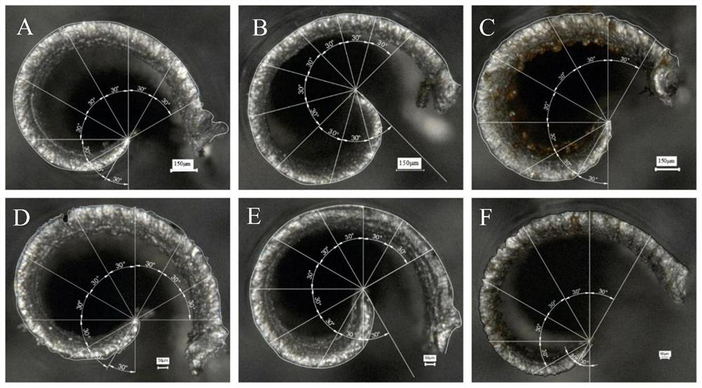 Broaching surface quality evaluation method based on chip bending degree measurement